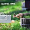 CimoroWin 1 Pcs Squirrel Tube Trap Outdoor Heavy-Duty Rodent Trap,