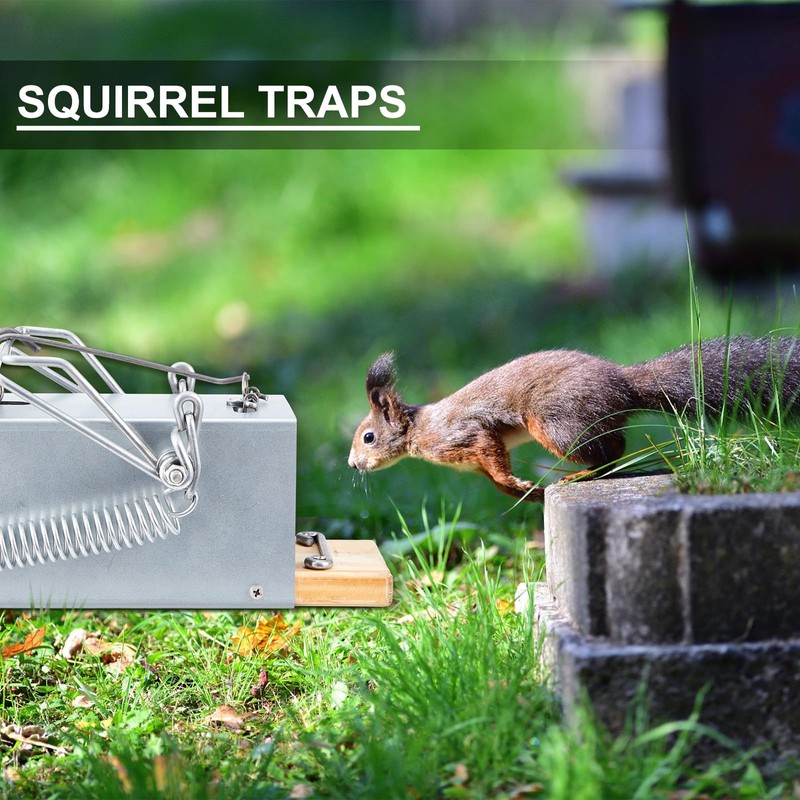 CimoroWin 1 Pcs Squirrel Tube Trap Outdoor Heavy-Duty Rodent Trap,