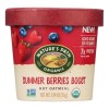 Nature's Path Organic Instant Oatmeal Summer Berries Boost 1.94 oz
