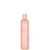 Echos line Discipline Shampoo for Unruly, Frizzy and Unruly Hair,