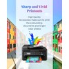 202XL Printer Cartridges Compatible with Epson XP 6100 Printer Cartridges