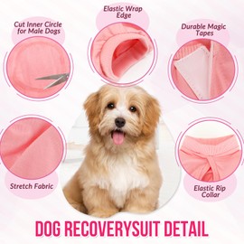 SlowTon Dog Surgery Recovery Suit - Puppy Onesie for Cats After Surgery, Cone E Collar Alternative for Female Male Dogs, Surgical Spay Recovery Suit for Abdominal Wound Skin Diseases