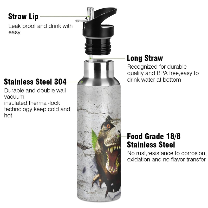 Botellas de agua con aislamiento de dinosaurio, para niños, con