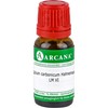 Calcium carbonicum Arcana Hahnemanni LM 6 Dilution 10ml Dilution