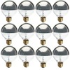 Satco S3861 Incandescent 40W 120V Globe G25 Silver Crown Decorative
