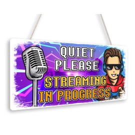 Beenanas Quiet Please On Air Streaming Gamer Door Sign Plaque