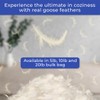NEXTGEN Premium White Down/Goose Feathers 10/90 Stuffing & Fill Hypoallergenic