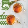Organic Thyme Tea by Alpi Nature, 80 Thyme Tea Bags,