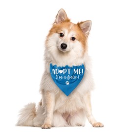 Adopt Me I'm a Foster Dog Bandana, Adopted Puppy Bandana Baby Dog Announcement Tie on Scarf, Blue Dogs Bandanas, Pet Scarf Accessories for Small Medium Dogs Cats Photo Prop