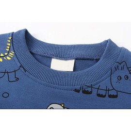 Toddler Baby Boy Clothing Sets Little Dinosaur Printed Long Sleeve Tops and Pants Kids 2pcs Outfits (2-Blue, 2-3T)