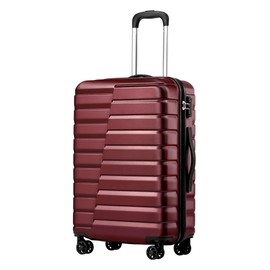 Coolife Luggage Suitcase Carry on Hardside PC+ABS Spinner TSA Lock Telescopic Handle