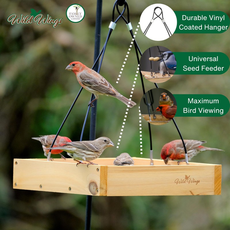 Wild Wings WWCF23 Rot Resistant Cedar Hanging Tray Bird Feeder