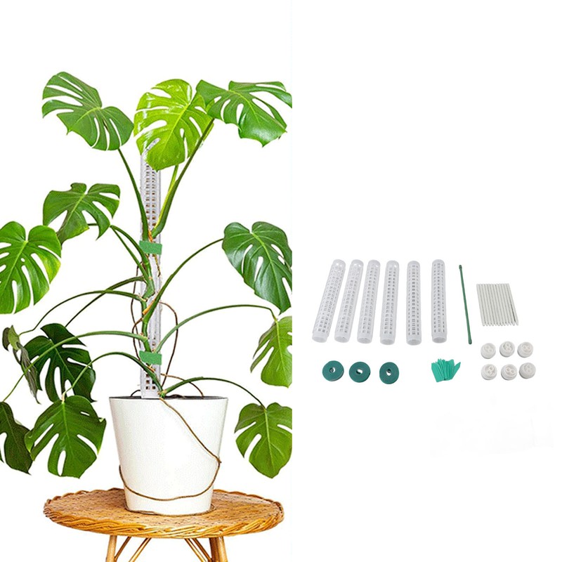 6PCS Plastic Moss Poles for Monstera Small Medium Climbing Plants