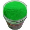 Pro-Tec Powder Paint 2 oz Jar ( Bright Green )
