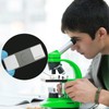 25 Slides with Samples, Prepared Slides, Prepared Microscope Sample Slides,
