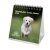 Hundezauber Golden Retriever Tischkalender 10cm x 10cm für 2026 Welpen