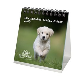 Hundezauber Golden Retriever Tischkalender 10cm x 10cm für 2026 Welpen und Hunde - Inhalt: 1x Kalender 1x Weihnachtsanhänger 1x Grußanhänger (gesamt 3 Teile)