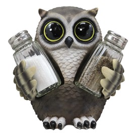 Ebros Gift Whimsical Owlet Baby Owl With Big Round Eyes Glass Salt And Pepper Shakers Holder Display Figurine Set 6" Tall Wildlife Whispering Forest Spirit Nocturnal Birds Sculpture Home Decor Accent