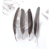 Operitacx 50pcs Pheasant Feathers Party Decor Natural Feathers Decorate Fan