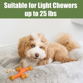 SPOT Bam-Bones Dental X-Bone - Made with Bamboo Fiber and a Massaging Rubber Center, Durable Oral Care Dog Chew for Light Chewers & Teething Puppies under 25lbs, 6in Allergen Free Peanut Butter Flavor