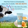 Beef Tallow Sunscreen with Zinc Oxide: Natural Non-Toxic SPF 50