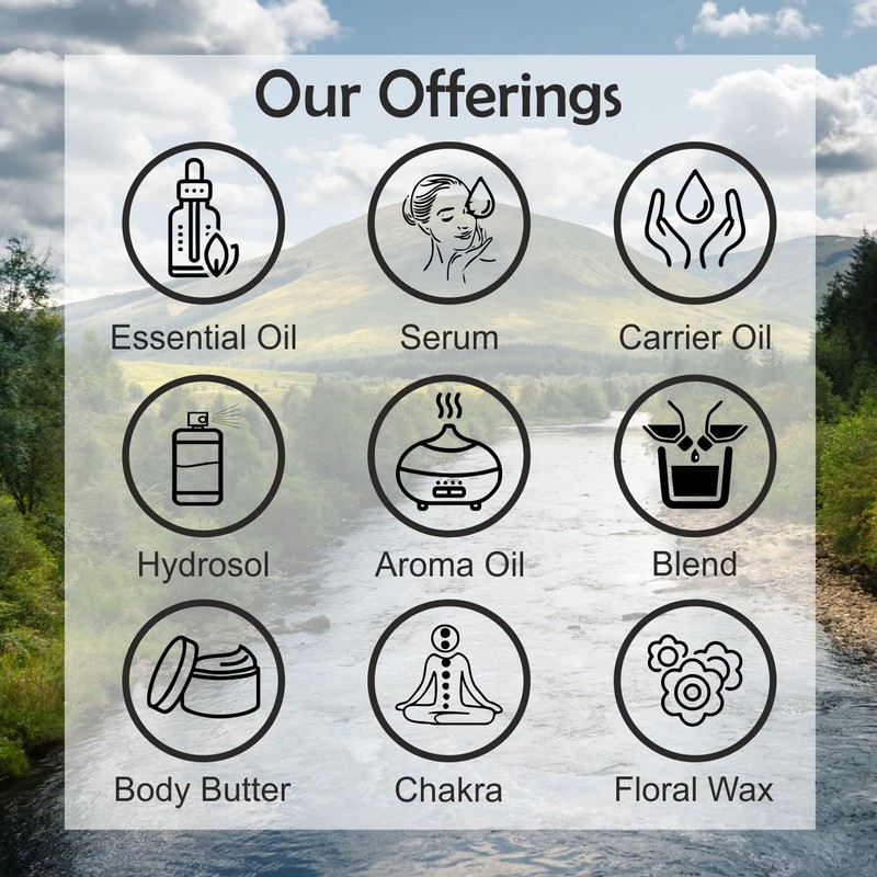 DEVPRAYAG Devprayag Pure Bay Essential Oil (Pimenta racemosa) Steam Distilled