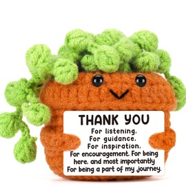 BackURyear Cute Appreciation Gifts for Women Men, Grateful Thank You Birthday Graduation Gift for Female Male Friends Teacher Coworkers Plant Lover, Crochet Plant Present Home Office Desk Decor