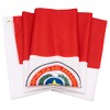 DANF Paraguay Flag 3x5 ft Paraguayan Paraguaian National Flags Polyester