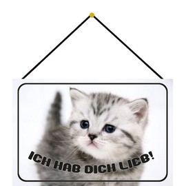 Metall Schild 20x30cm mit Kordel Katze Ich hab dich lieb junges Kätzchen Blechschild