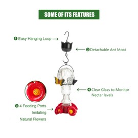 Glass Hummingbird Feeder Bee Guard Wide-Mouth Outdoors Ant Moat Leak Proof Weather Resistant 10oz Medium Capacity 4 Feeding Ports Bird Watching Bird Lover Birthday Anniversary (B)