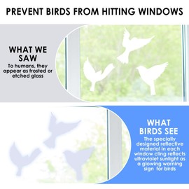 Anti Collisions Stickers for Birds - Pack of 16 Reusable Electrostatic Assorted Bird Stickers Large Size Transparent for Windows and Glass Doors Interior and Exterior