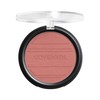 COVERGIRL COVERGIRL Trueblend so Flushed High Pigment Blush & Bronzer,