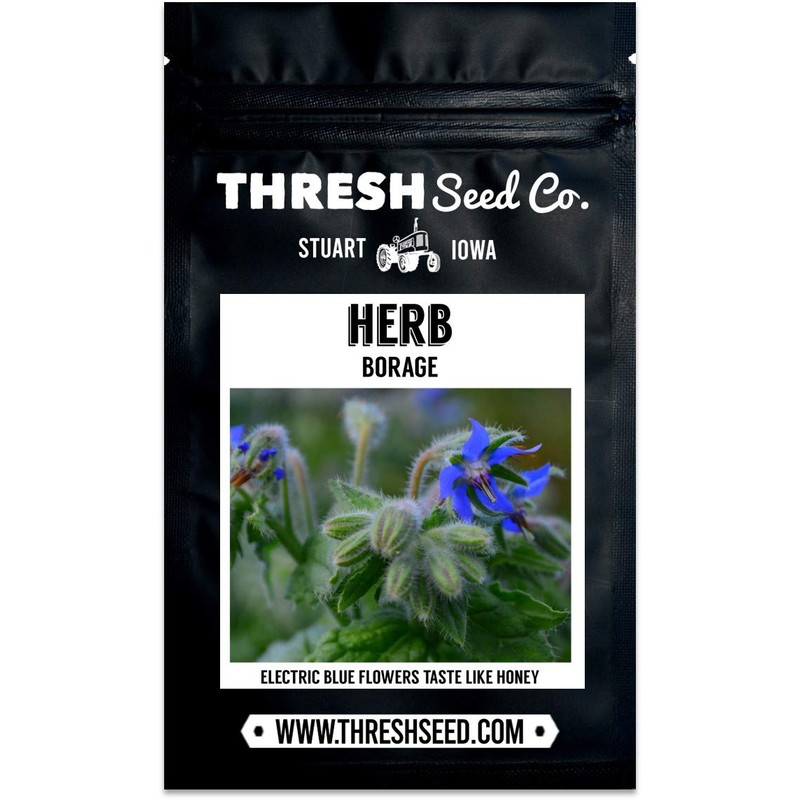 Borage - 100 Seeds