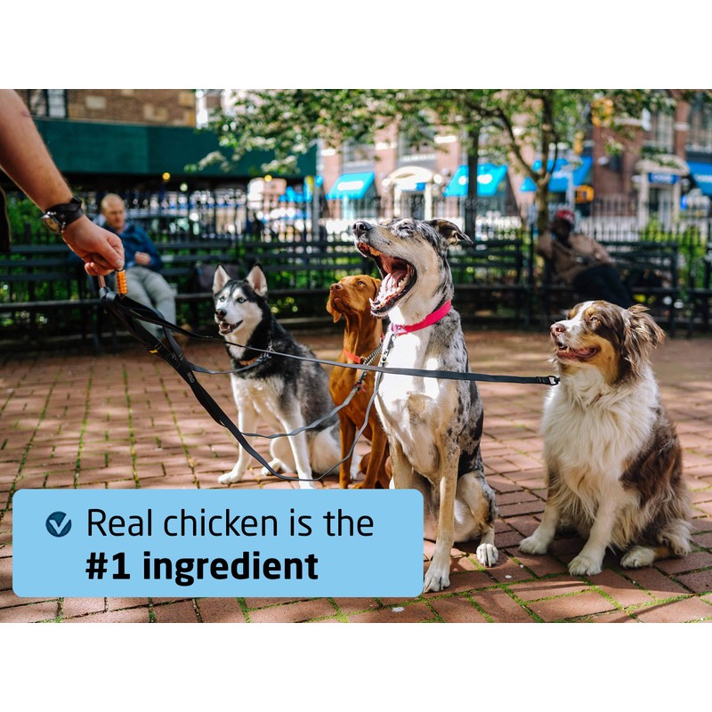 Nudges Chicken Bacon Sizzlers Dog Treats, 16 oz