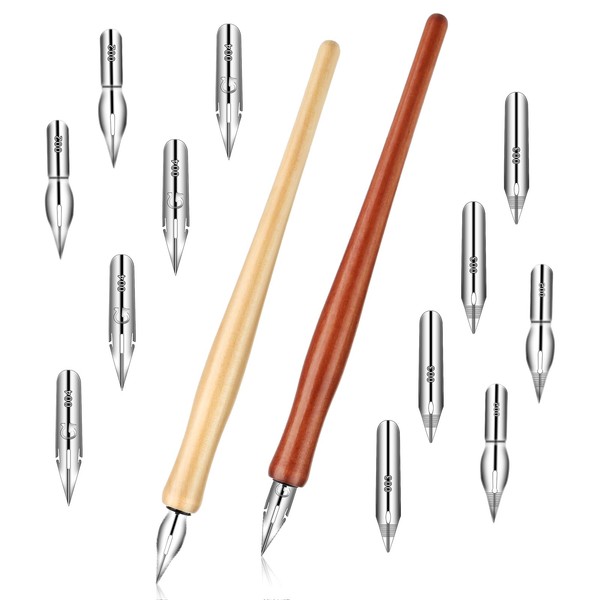 14pcs Oblique Calligraphy Nibs Pen Comic Pen Nibs Set Fluid