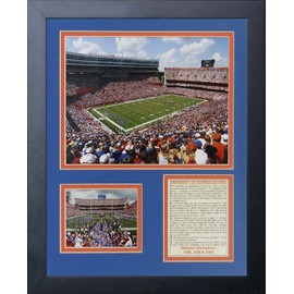 Legends Never Die Florida Gators Ben Hill Griffin Stadium Framed Photo Collage, 11 by 14-Inch