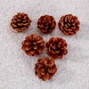 Ashuxxn Pack of 48 Christmas Pine Cones Decoration Natural Pine
