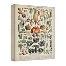 Antique Heirloom Legumes and Root Crops Vegetables 18x24 Unframed Print – Vintage Botanical and Food-Themed Wall Art, Garden Vegetable Artwork, Heritage Vegetable Guide, Kitchen & Farmhouse Décor