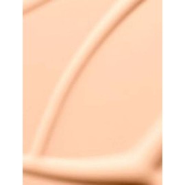 Pro Longwear Nourishing Waterproof Foundation New! Nw22