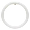Caprock FC22T5/865 22W 22 Watt 7.25 inch Diameter Circular Fluorescent