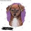 Mountain Cur Dog isolated digital art illustration. Hand drawn dog