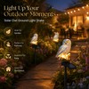 Solar Owl Garden Stake Light for Outdoor Décor – LED