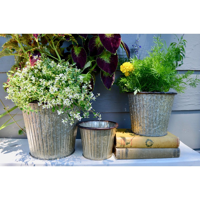 8" Washboard Planter-Rustic Green