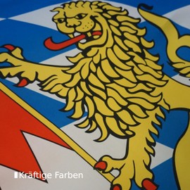 INQUARK 90 cm x 150 cm Polyester Flag with Brass Eyelets Sports Fan Item Flag Football World Cup European Championship Handball Game Decorative Interior Garden Balcony (L-Bayern, 90 cm x 150 cm with