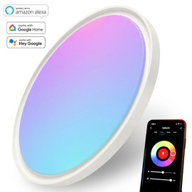 Smart Ceiling Light Fixture, 12 inch Mount RGBIC Light Fixturel, Compatible with Alexa and Google Home, Dimmable RGB Color Changing LED Light, 2400LM 2700K-6500K, for Bedroom, Living Room, Nursery