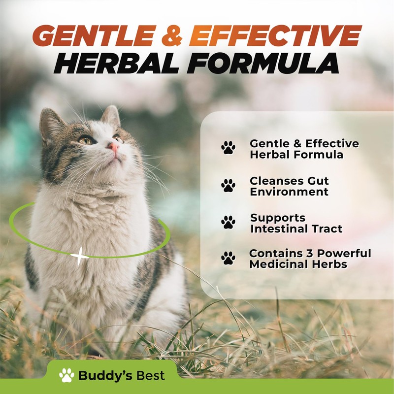Natural Dewormer for Cats | Herbal Blend with 3 Powerful