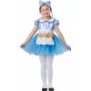 Dress-Up-Ameri - Toddler 4