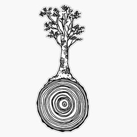 Tree Trunk Swirl Vinyl Bumper Sticker Decal Waterproof 5"