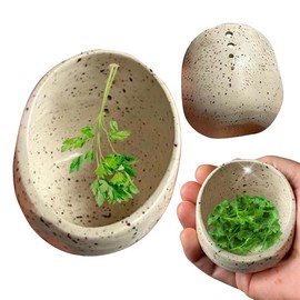 Handmade Enamel Style Herb Stripper Bowl,4 Multi Sized Holes for Cabbage, Beet Greens and Leafy Vegetables, Durable Leaf Removal Tool for Kitchen Prep (Beige)