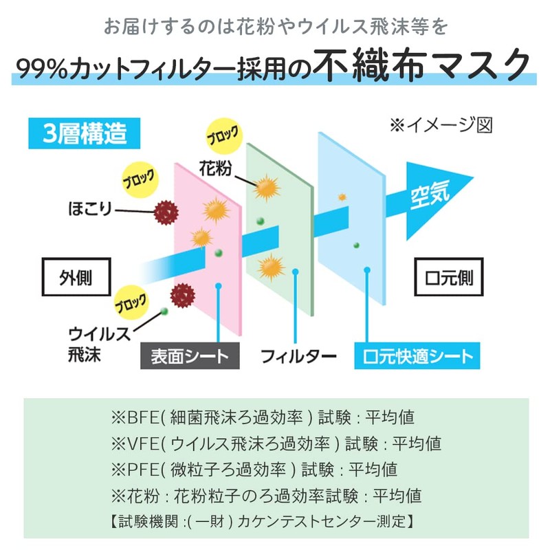 Iris Ohyama 20PK-AS30S Non-Woven Mask, Pack of 30, Safe and